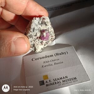 Corundum (Ruby) Khit-Ostrov Karelea, Russia | A.E. Seaman Mineral museum of Mi